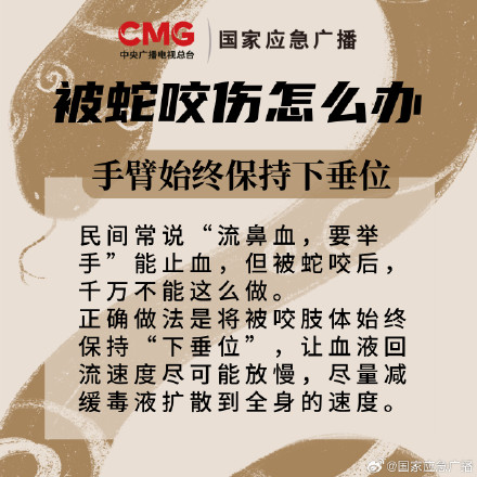 被蛇咬了怎么办 医生：毒蛇冬眠后毒性更强
