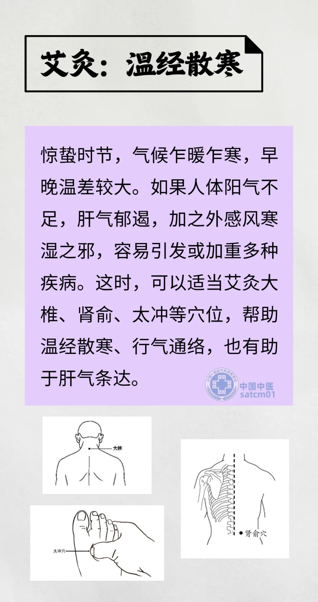 今日惊蛰，养肝护肝的黄金期，这些要点要牢记