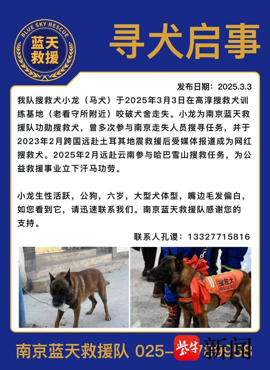 南京蓝天救援队功勋搜救犬走失两天后寻回