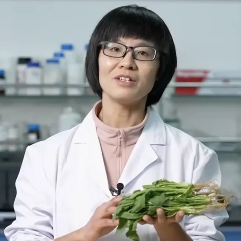 这3种野菜千万别吃，转告家里的老人，别再当成“宝”了！