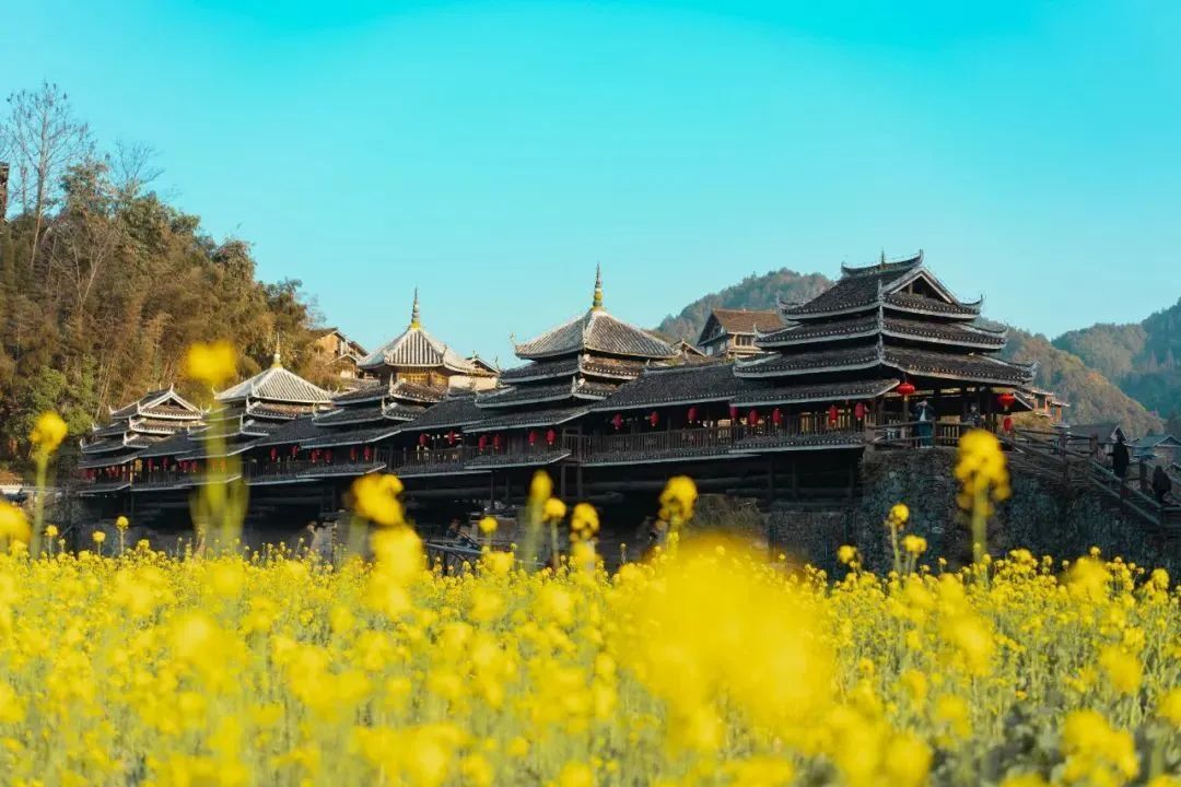 免票、半价！广西这些景区近期优惠多多