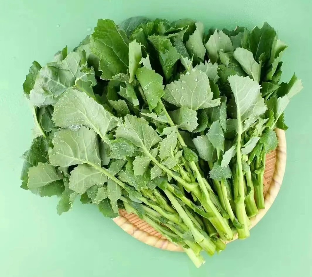 20元/斤的“春季网红菜”有抗病毒功效?不少上海人尝过了! 20元/斤的“春季网红菜”有抗病毒功效?不少上海人尝过了!