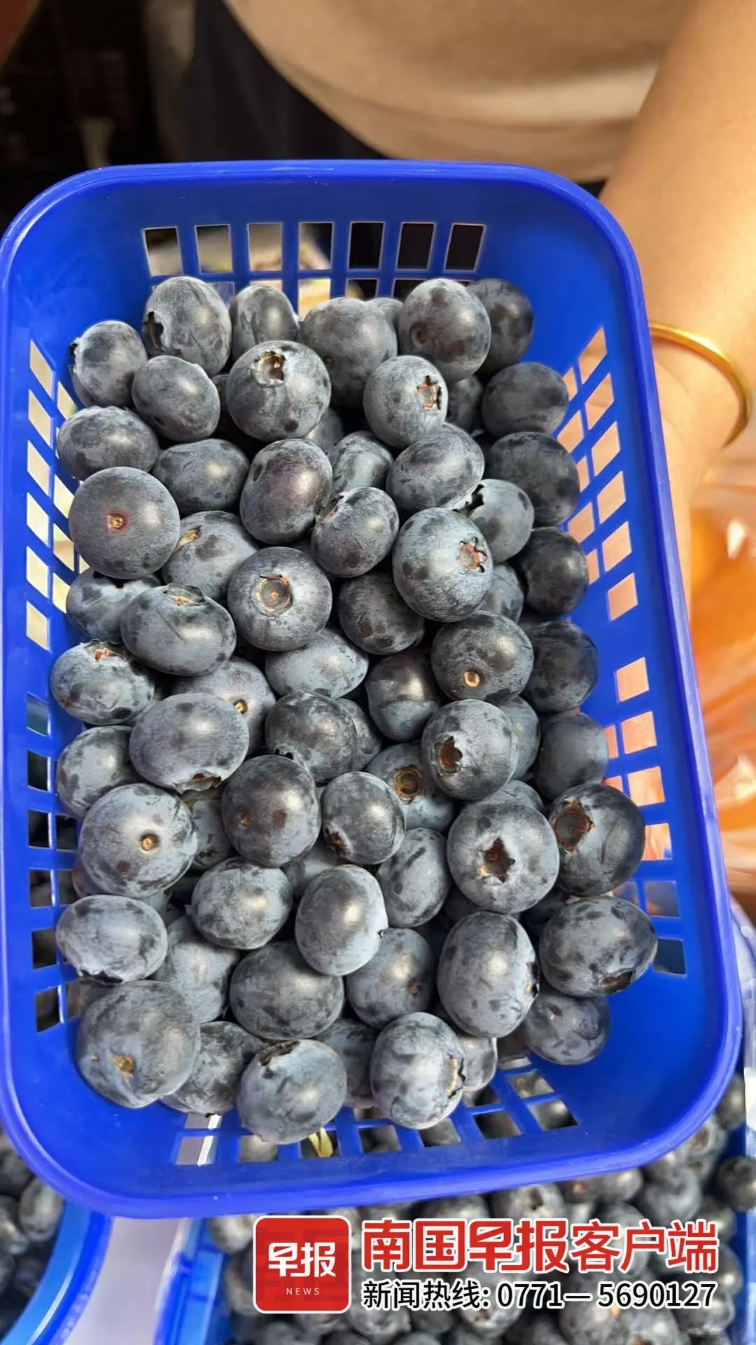 降价了！正大量上市！很多人爱吃