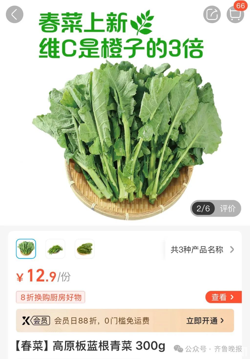 正大量上市！春季“网红”火了！不少山东人已尝试……