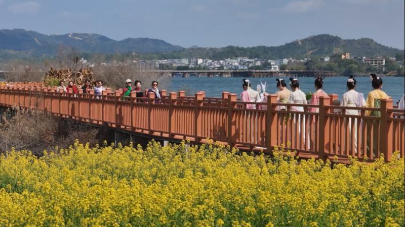 江西赣州:油菜花催生多重业态激活春日经济 江西赣州:油菜花催生多重业态激活春日经济
