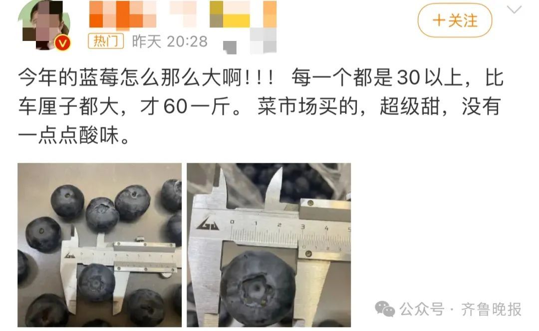 大跳水，还要继续降！很多人都爱