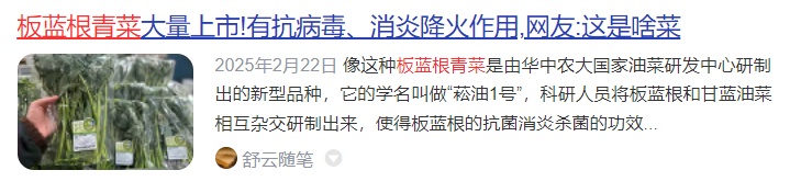 20元/斤的“春季网红菜”有抗病毒功效?不少上海人尝过了! 20元/斤的“春季网红菜”有抗病毒功效?不少上海人尝过了!