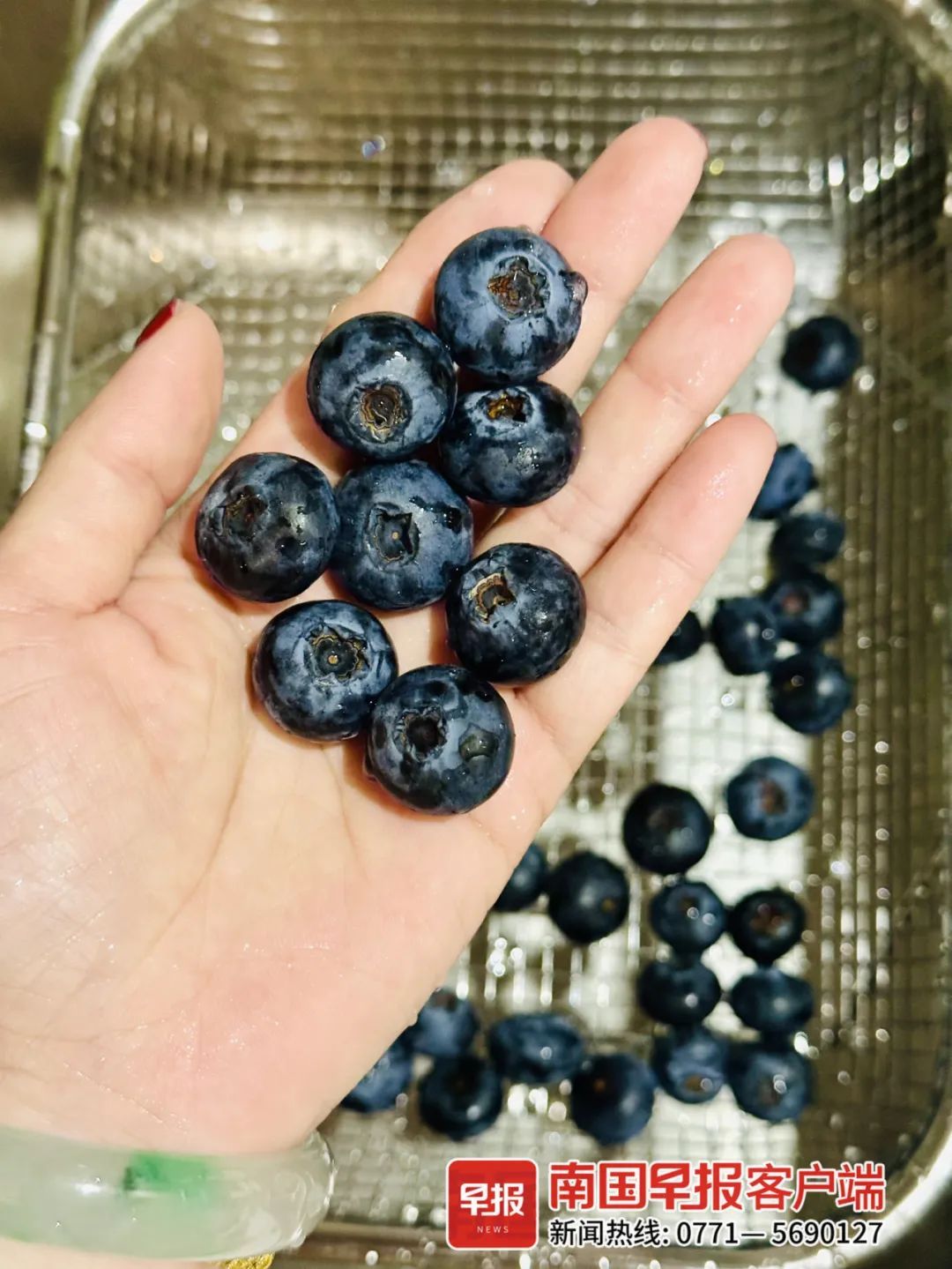 降价了！正大量上市！很多人爱吃