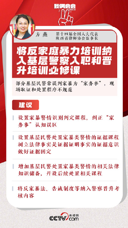 人大代表建议将反家暴法纳入警察培训内容 人大代表建议将反家暴法纳入警察培训内容