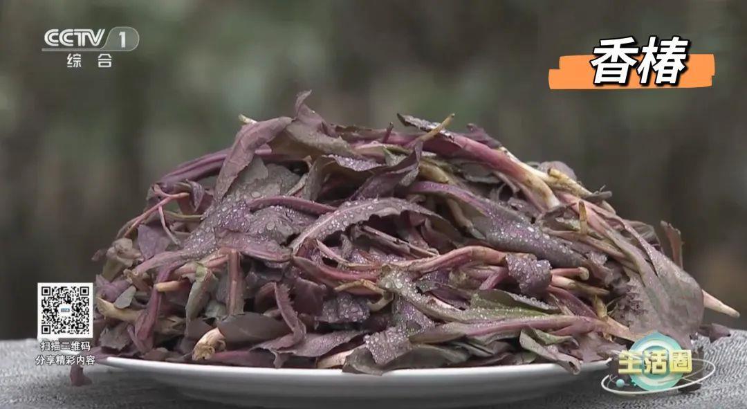 春天推荐吃这4种野菜 如何正确食用？请收藏