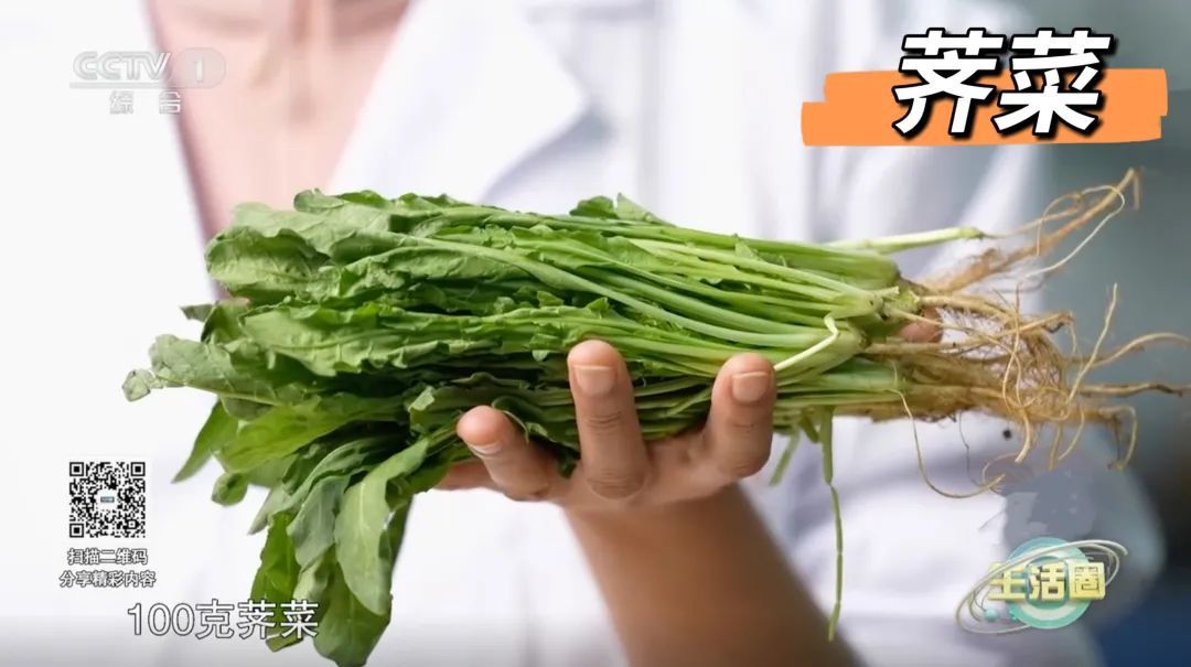这3种野菜千万别吃，转告家里的老人，别再当成“宝”了！