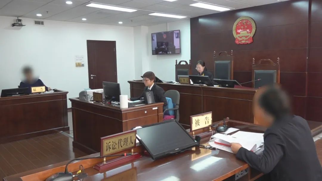 流浪猫狗车库“大战”重伤汽车,车主只能认倒霉?法院判了 流浪猫狗车库“大战”重伤汽车,车主只能认倒霉?法院判了