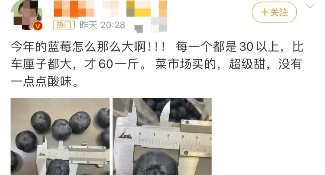 价格大跳水！以前论克卖，现在按斤称……正大量上市！可以敞开“炫”了