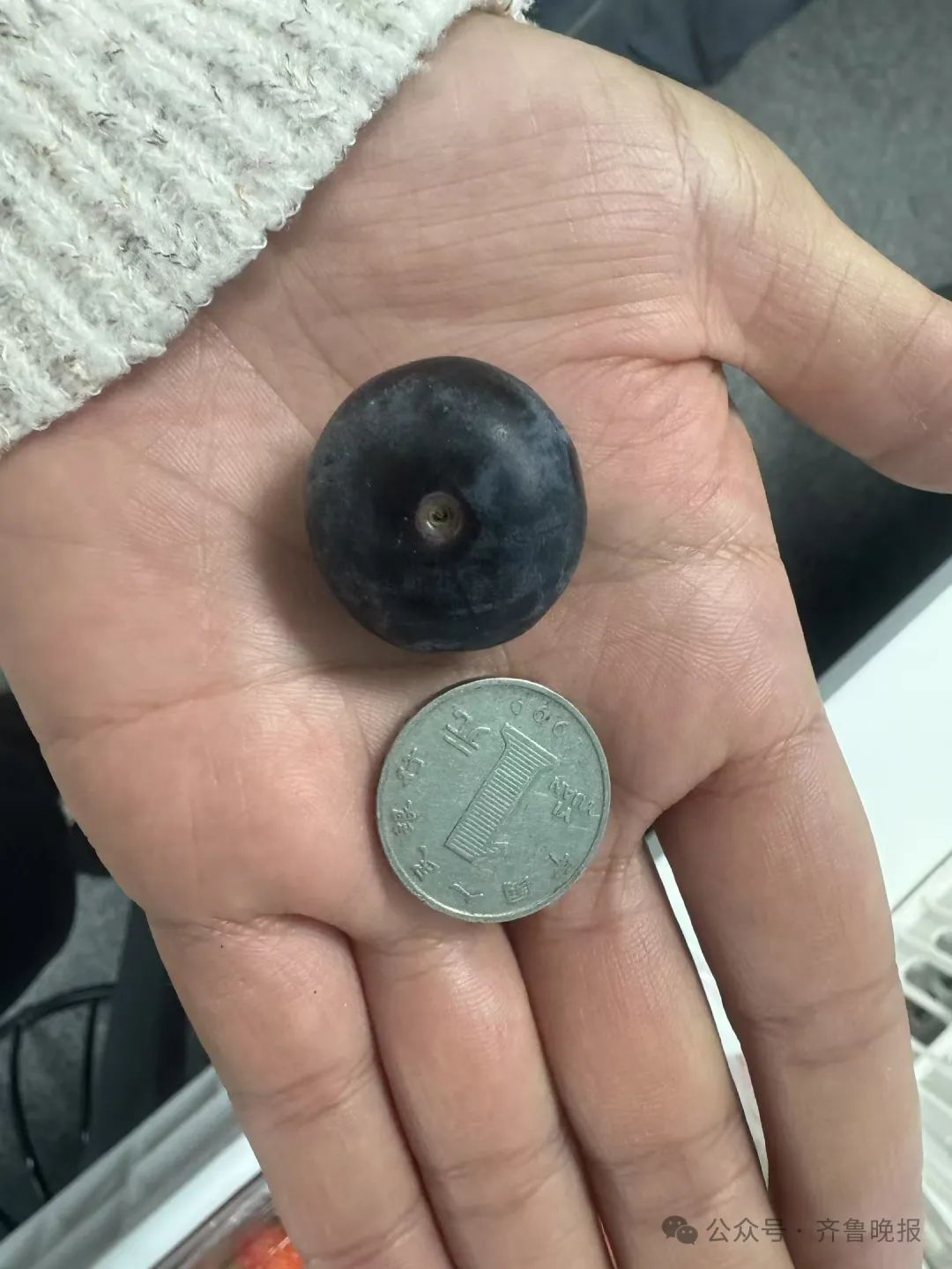 价格下跌20%,预计还会降!有人猛炫,但这三类人群要注意 价格下跌20%,预计还会降!有人猛炫,但这三类人群要注意