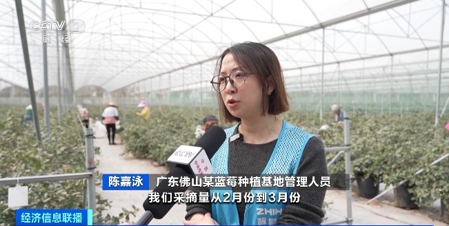 价格大跳水，很多人都爱吃！预计：四五月份将再迎一波降价→