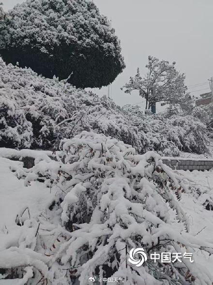 贵州多地3月飘雪天地银白 贵州多地3月飘雪天地银白