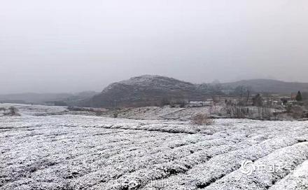 贵州多地3月飘雪天地银白 贵州多地3月飘雪天地银白