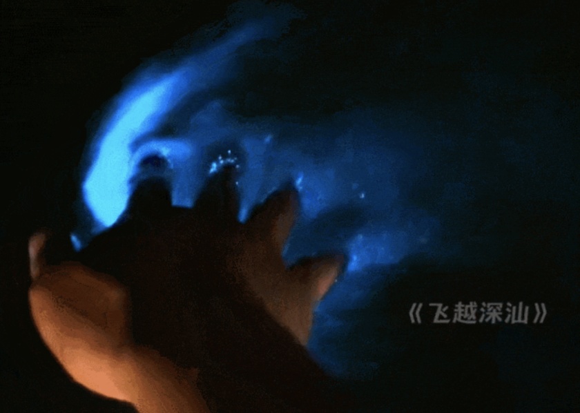 太美了！广东一地惊现“蓝眼泪”！