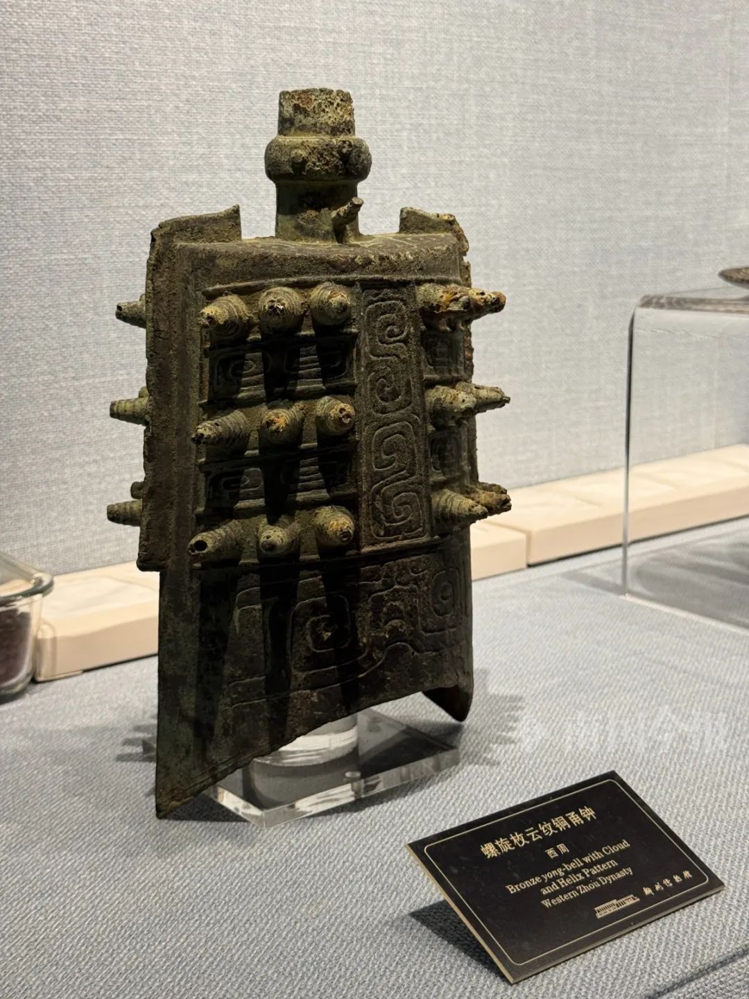 又有新发现！柳州的河里，到底藏着多少宝贝？