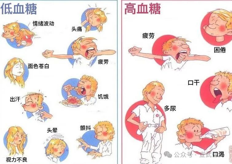 为什么吃完饭后会感到困倦？