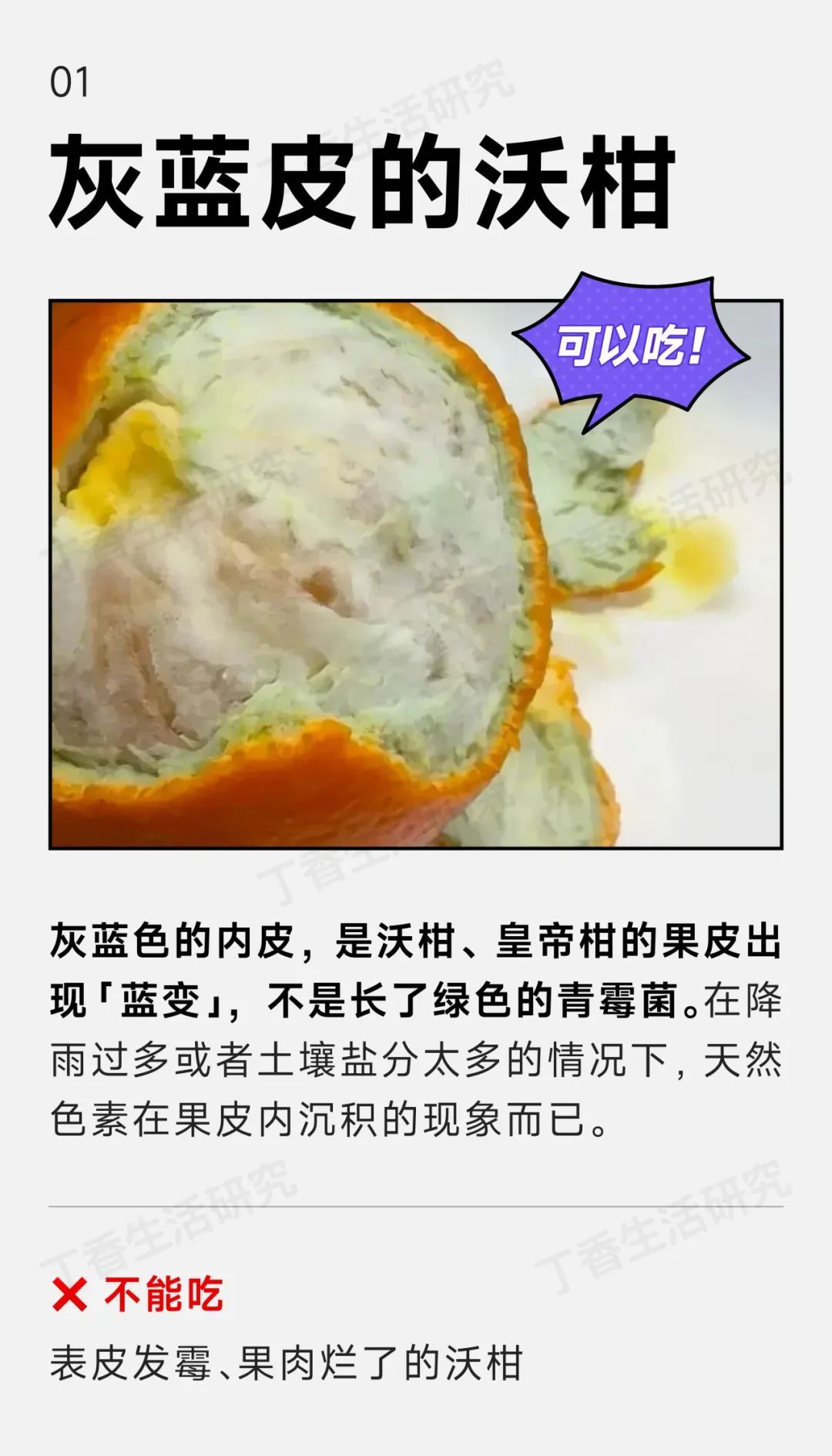 泛绿光的牛肉、有黑点的大白菜…这些“变质”的食物其实能吃! 泛绿光的牛肉、有黑点的大白菜…这些“变质”的食物其实能吃!