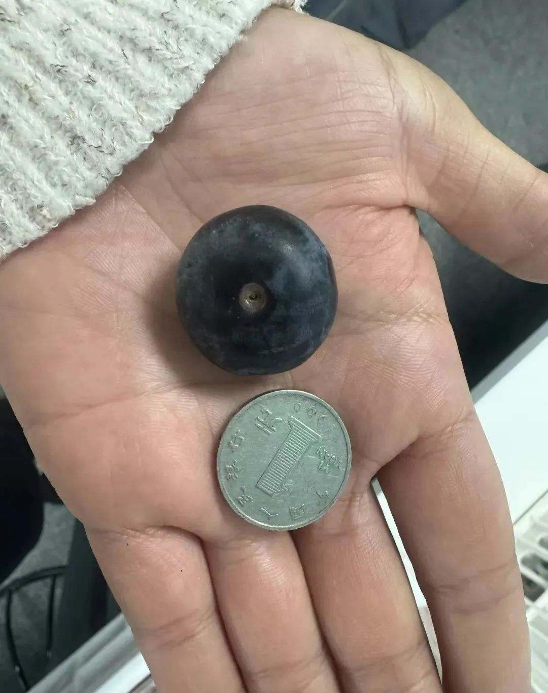 价格大跳水，很多人都爱吃！预计：四五月份将再迎一波降价→