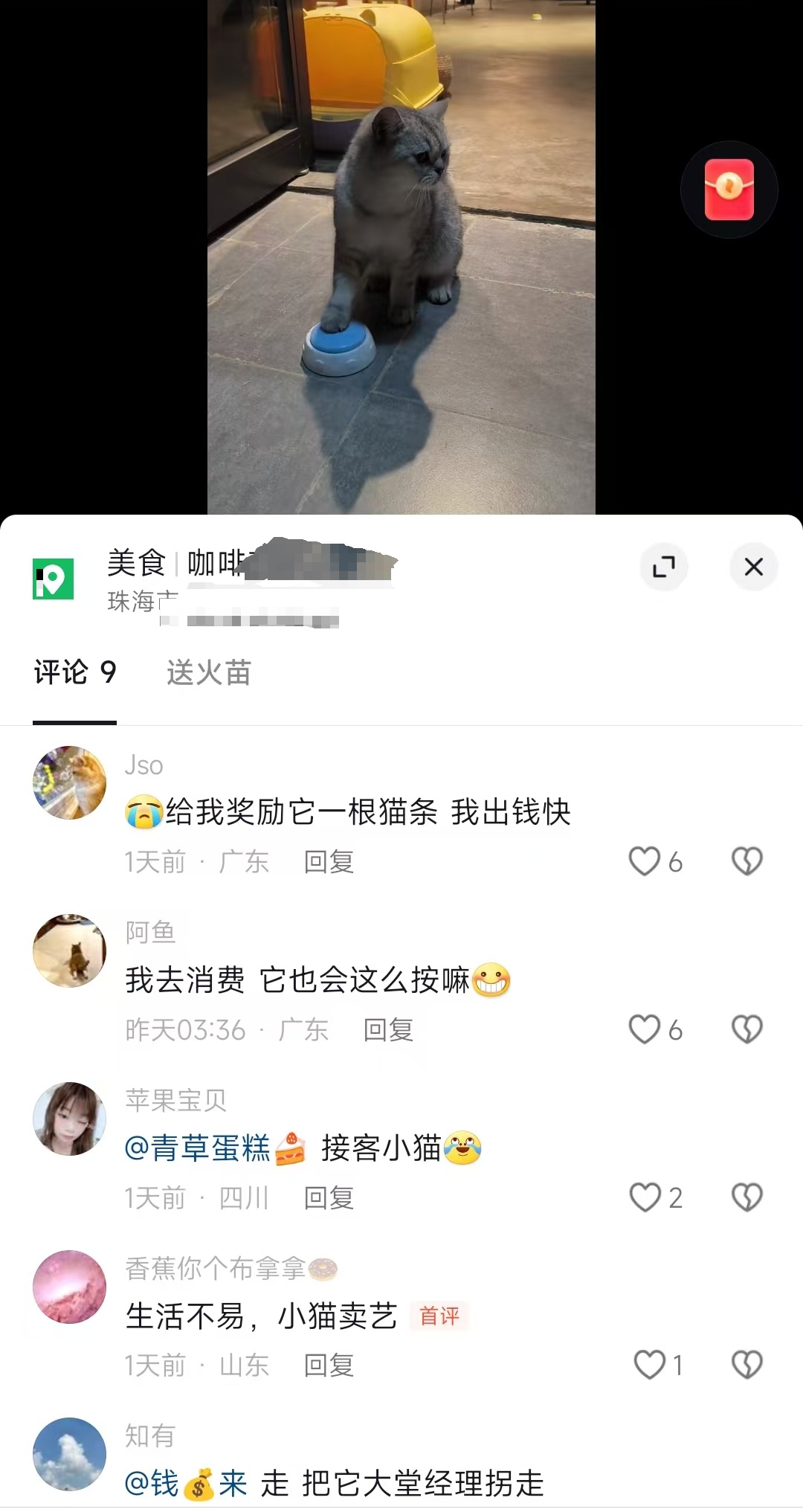 “二楼，贵宾两位！” 广东一咖啡店惊现迎宾猫：会按铃招揽顾客