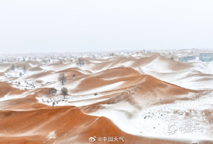 沙漠下雪了秒变雪顶咖啡