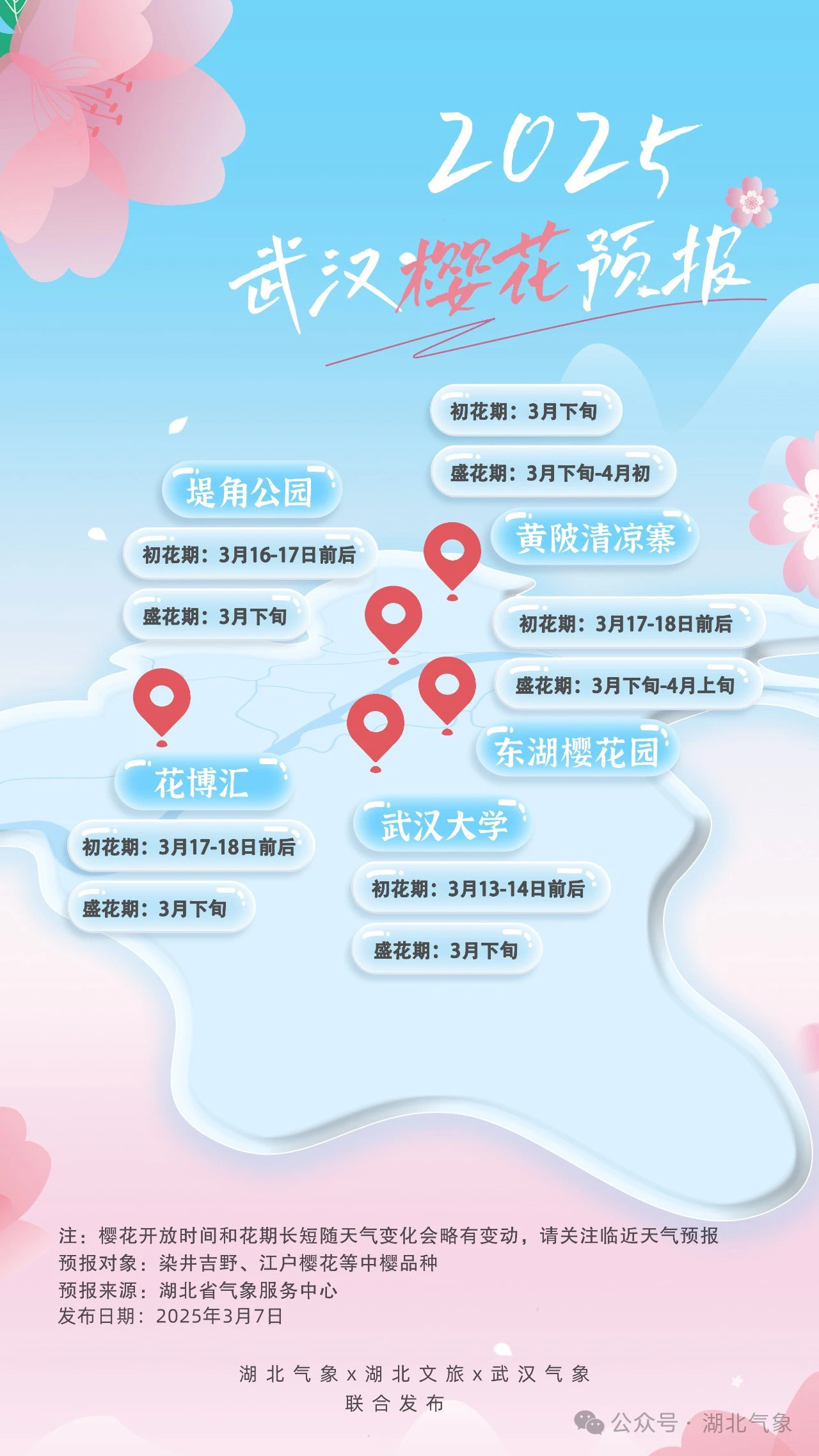 来赏樱花吧!2025武汉樱花花期预报出炉 来赏樱花吧!2025武汉樱花花期预报出炉