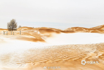 沙漠下雪了秒变雪顶咖啡