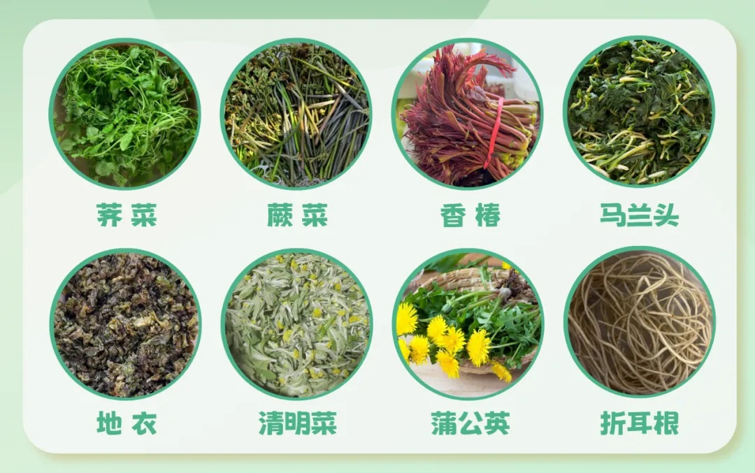 一盘下肚,女子引来“致命危机”!很多浙江人的饭桌上都有,这个步骤千万不能少 一盘下肚,女子引来“致命危机”!很多浙江人的饭桌上都有,这个步骤千万不能少