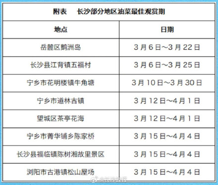 长沙油菜花最佳观赏期预报出炉
