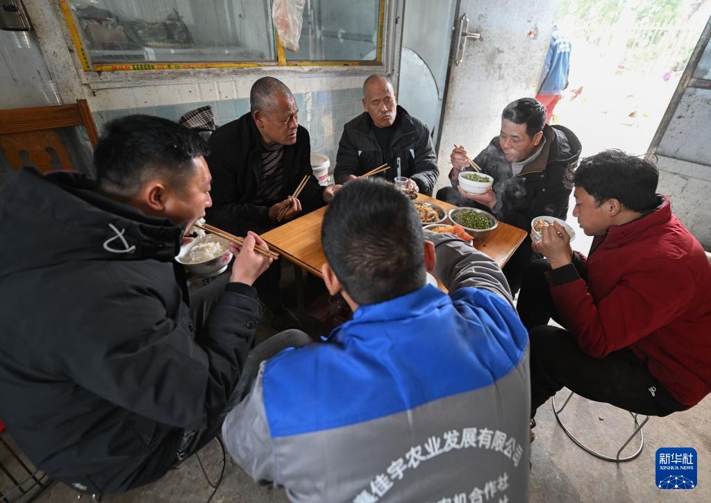 新华全媒+｜盲人兄弟的农机人生