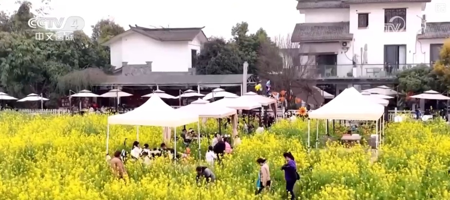 坐飞机赏花、围炉煮茶、花田火锅……花样新场景释放消费新活力