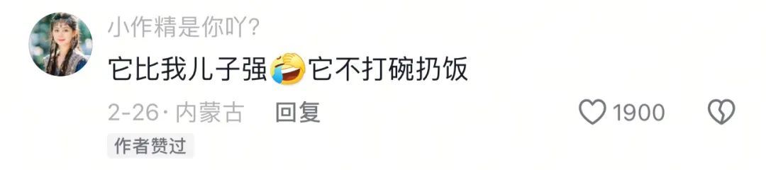 上海2岁"童星"乖巧出圈！网友喊话"换孩子"，监护人回应