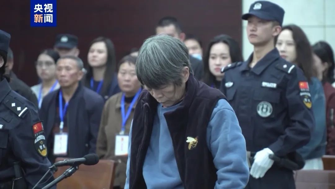 哪些案例写入了今年最高法工作报告？