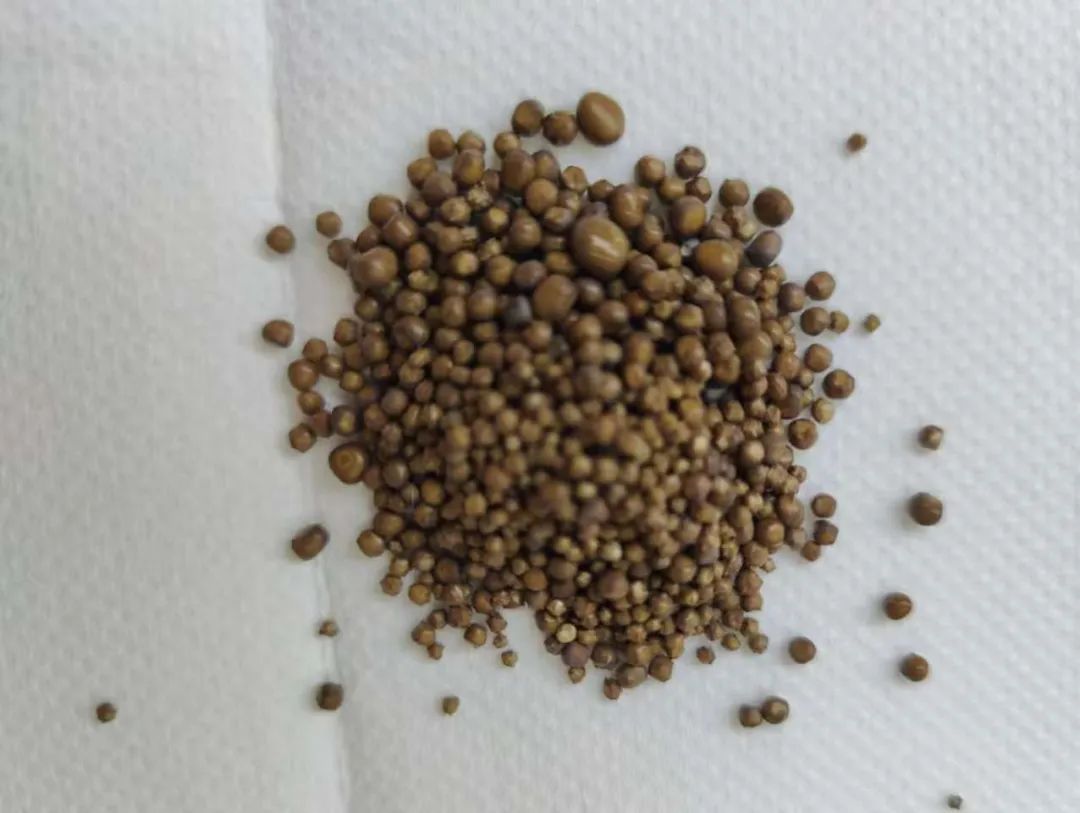 1791颗，密密麻麻！医生都惊呆了：他体内都是这些……