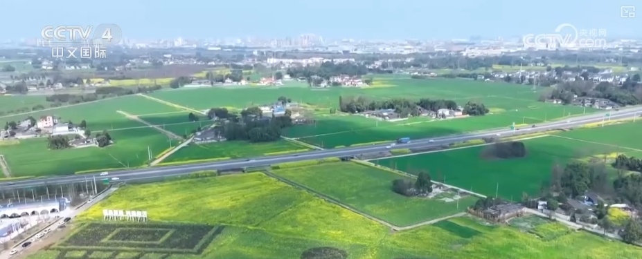 坐飞机赏花、围炉煮茶、花田火锅……花样新场景释放消费新活力