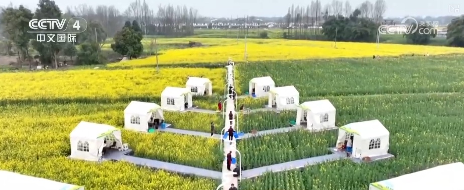 坐飞机赏花、围炉煮茶、花田火锅……花样新场景释放消费新活力