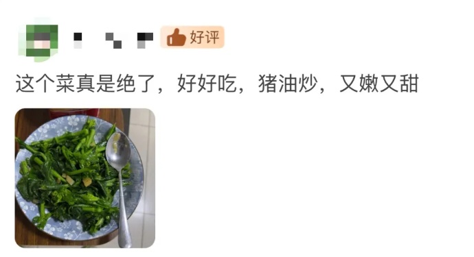 正大量上市！这种青菜火了，有抗病毒功效？网友：是菜还是药……