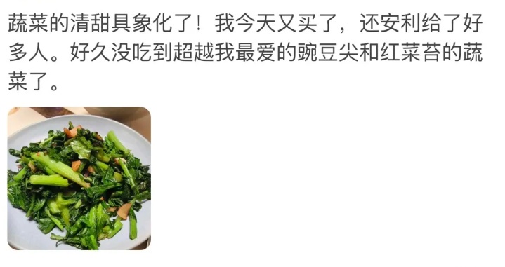 正大量上市！这种青菜火了，有抗病毒功效？网友：是菜还是药……