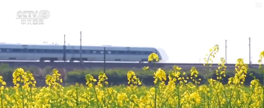 坐飞机赏花、围炉煮茶、花田火锅……花样新场景释放消费新活力