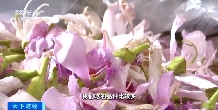 降!降!降!春花春菜价格“腰斩”!抢“鲜”上市 降!降!降!春花春菜价格“腰斩”!抢“鲜”上市