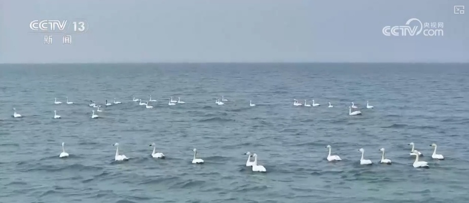 精细化、精准化、挖掘细节……从《政府工作报告》看蓝天碧水保卫战