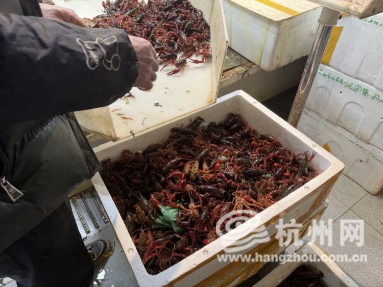 45元/斤！杭州人爱吃的这口美味，刚刚上市！老板：下个月价格就会跌……