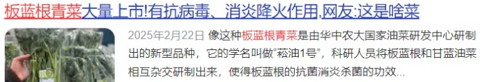 正大量上市！这种青菜火了，有抗病毒功效？网友：是菜还是药……