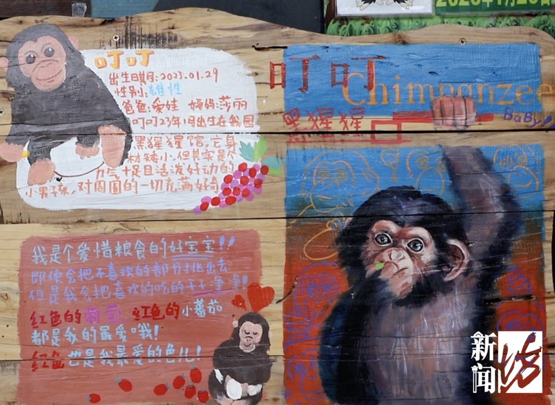 上海2岁"童星"乖巧出圈！网友喊话"换孩子"，监护人回应