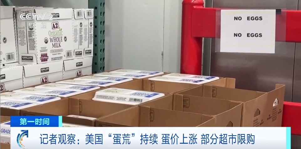 鸡蛋价格暴涨：超市遭抢购、餐馆被迫改菜单，美国展开调查
