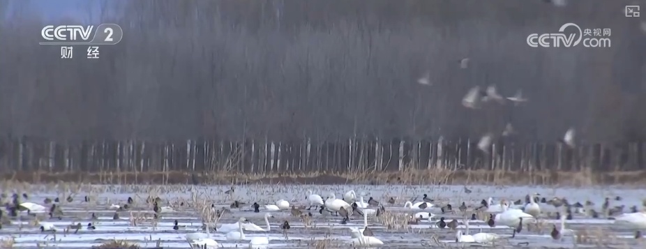 好风景变身好“钱”景 鸟语花香点亮“春日经济”新活力 好风景变身好“钱”景 鸟语花香点亮“春日经济”新活力