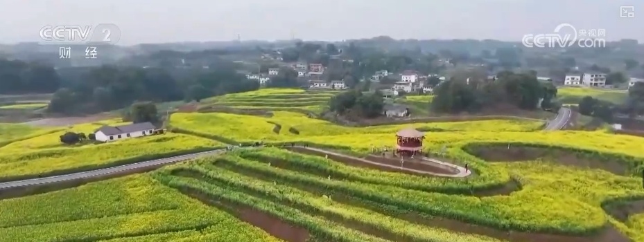 好风景变身好“钱”景 鸟语花香点亮“春日经济”新活力 好风景变身好“钱”景 鸟语花香点亮“春日经济”新活力